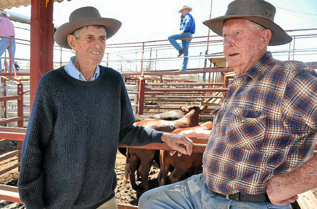 Noel Vaughan and Steve Johnson discussed cattle prices and the challenges still facing farmers at the Warwick cattle sales yesterday. Noel Vaughan and Steve Johnson discussed cattle prices and the challenges still facing farmers at the Warwick cattle sales yesterday.